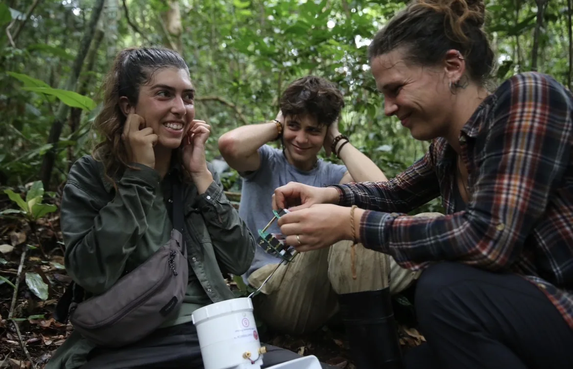 Guillaume and two colleagues in the forest